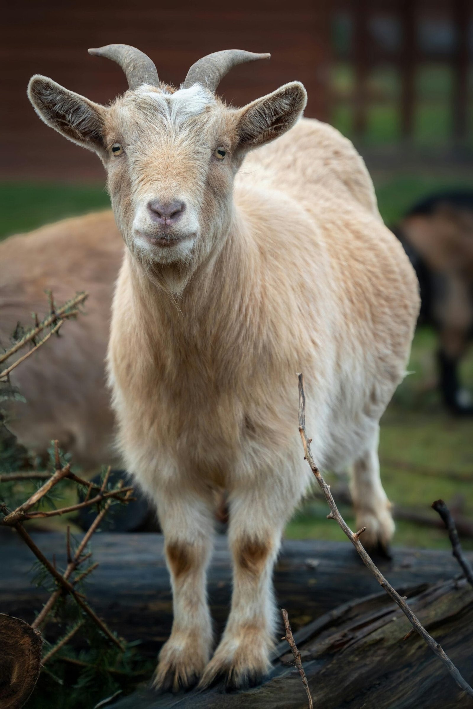 Get the Latest News Alerts with Google News